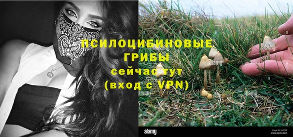 твердый Михайловка