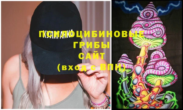 твердый Михайловка