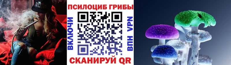 Галлюциногенные грибы Cubensis  закладка  Анива 